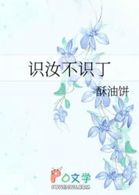 识汝不识丁 识汝不识丁