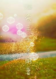 温柔王子的呆萌妻 温柔王子的呆萌妻