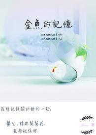 金鱼的记忆 金鱼的记忆