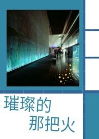 璀璨的那把火 璀璨的那把火