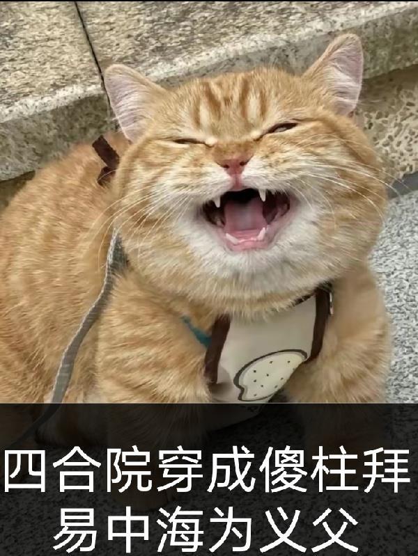 四合院穿成傻柱拜易中海为义父 四合院穿成傻柱拜易中海为义父